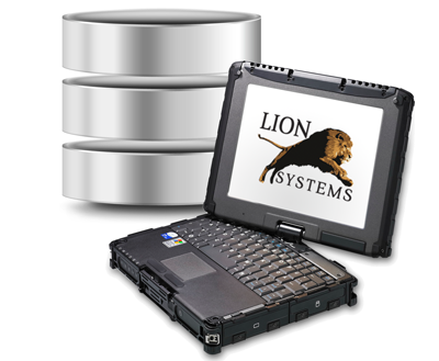 Lion Systems Asset and Data Management Services